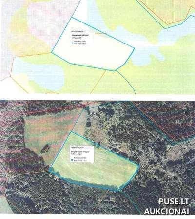 Parduodamas 3.98 ha žemės ūkio paskirties sklypas Kelmės r. sav., Bumbulių kaimas, pradinė kaina 9040 EUR