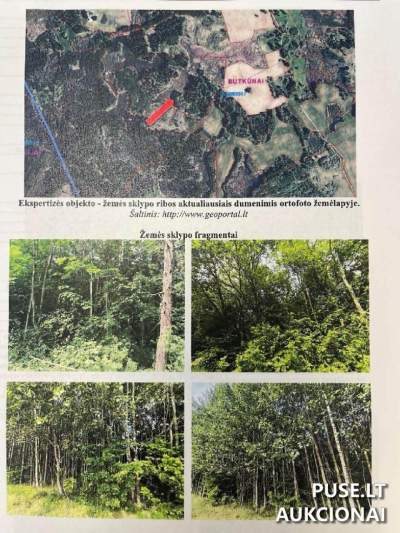 3.0000 ha Miškų ūkio paskirties žemės sklypas Ukmergės rajone, Laukėnų kaime, nuo 16800 EUR