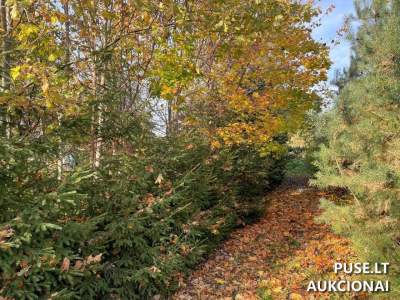 Žemės sklypas Šiauliuose, Pikeliškės g. 11A, pradinė kaina 14027 EUR – valstybinės žemės aukcionas