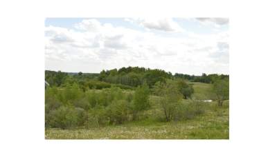 Parduodamas žemės sklypas Plungės rajone, Kūbakių kaime, pradinė kaina 15600 EUR
