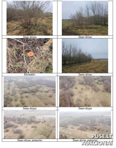 Parduodamas 0.1666 ha žemės sklypas Rimkuose, Klaipėdos r. sav. – 17680 EUR pradinė kaina