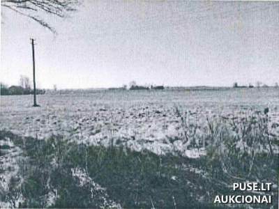 Parduodamas 1/2 žemės sklypo dalis Marijampolės r. Makrickų kaime už 7200 EUR