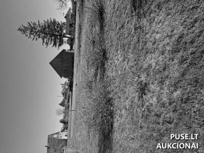 Valstybinės žemės sklypas Inkaklių kaime, Šilutės r., pradinė kaina 1278 EUR