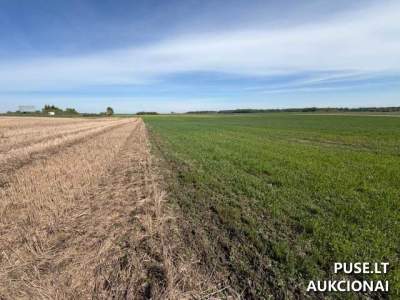 Žemės ūkio paskirties sklypas Ukmergės r. sav., Urnėžių II k. 16.31 ha, pradinė kaina 78720 EUR