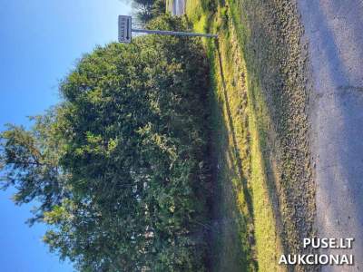 Žemės sklypo aukcionas Panevėžio r., Staniūnų k., Didžioji g. 9A, pradinė kaina 8428 EUR