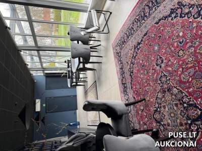Poilsio namas su gydymo paslaugų potencialu Birštono centre, Birutės g. 29, pradinė kaina 488000 EUR