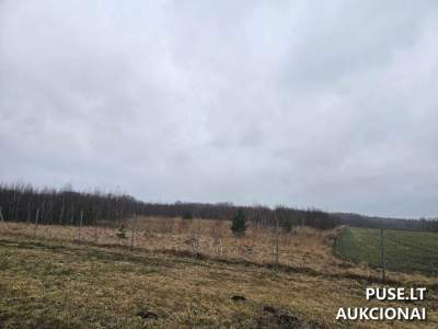 Parduodamas 4.11 ha žemės ūkio paskirties sklypo dalis Jonavos r. Gegutės k. už 22920 EUR pradinę kainą