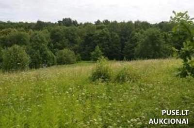 Parduodamas 0.1252 ha gyvenamosios paskirties sklypas Trakų rajone, Naujojo Lentvario k. su mažaaukščių statybos leidimu už 24297 EUR