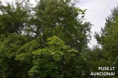 Žemės sklypas Trakų rajone, Naujojo Lentvario k., mažaaukščių namų statybai, 0.1667 ha, pradinė kaina 17812 EUR