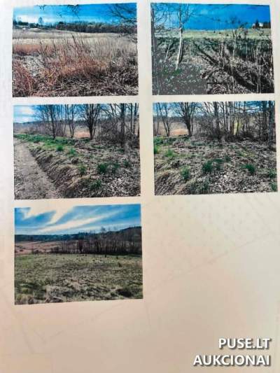 1/2 dalis žemės ūkio paskirties sklypo Trakų rajone, Rykantų kaime, pradinė kaina 1120 EUR