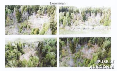 Žemės ūkio paskirties sklypas Jonavos r. sav. Pakalniškio k. 640 EUR pradinė kaina antstolio aukcione