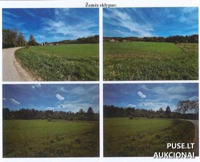 Parduodamas 1/1 dalis žemės ūkio paskirties sklypo Jonavos r. sav., Upninkų k. 800 EUR pradinė kaina