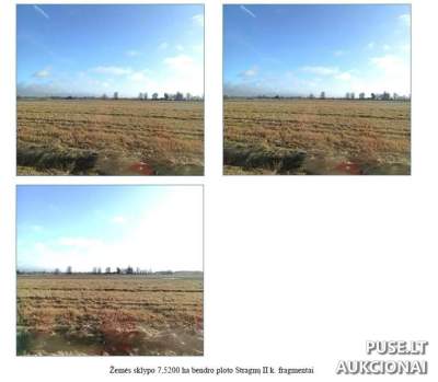 7,52 ha žemės ūkio sklypas Klaipėdos r. sav., Stragnų II k. pradinė kaina 16240 EUR