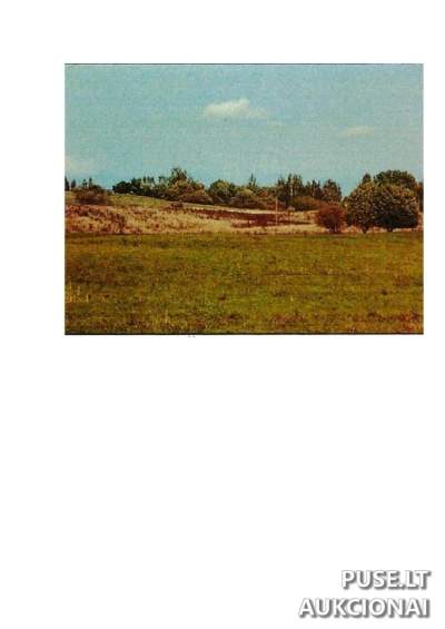 6.67 ha žemės ūkio paskirties sklypas Prienų rajone, Giriotiškių kaime - 17340 EUR