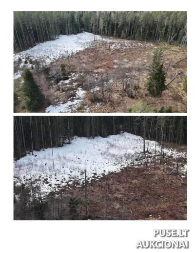 1/2 žemės sklypo Švenčionių rajone, Lūžnių kaime, 900 EUR - antstolių varžytynės