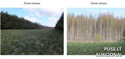 Žemės sklypas Telšių rajone, Kantenių kaime, 9600 EUR