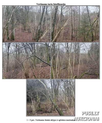 Valstybinės žemės sklypas Kretingos r. sav. Lygnugariškių k., 14626 EUR