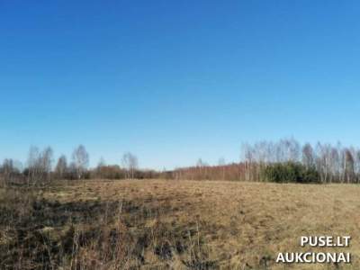 2.64 ha žemės ūkio paskirties sklypas Šilutės rajone, Barzdūnų kaime, 18700 EUR