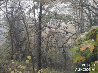 Žemės sklypas Vilkaviškio rajone, Vygrelių kaime, 7920 EUR