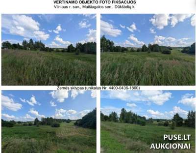 Žemės sklypas Dūkštelių kaime, Vilniaus rajone, 6960 EUR, antstolių varžytynės