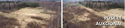 Žemės sklypas Vanagų kaime, Klaipėdos rajone, 18000 EUR, 2026-09-28 aukcionas