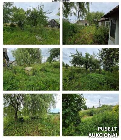 Žemės sklypas Jurbarko r. sav. Paalsio I k. Alsos g. 15, 1/4 dalis, 576 EUR