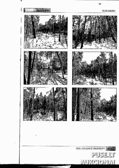 2.9000 ha miškų ūkio paskirties žemės sklypas Trakų rajone, Strakiškių kaime, 752 EUR