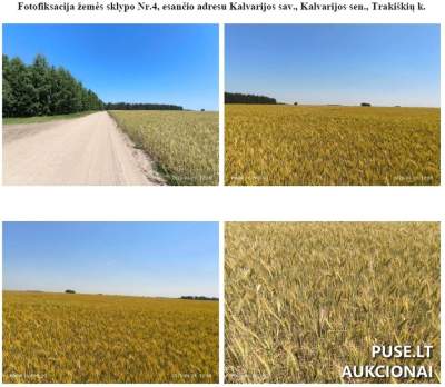 Žemės ūkio paskirties sklypas 6.90 ha Kalvarijos sav. Trakiškių k. 24000 EUR