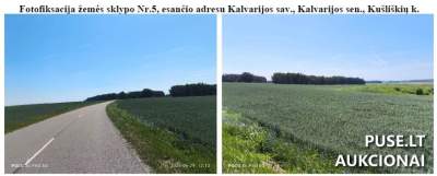 7.5 ha žemės ūkio paskirties sklypas Kalvarijos sav. Kušliškių k. 26400 EUR