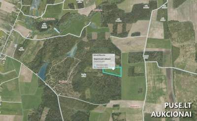 1/3 Miško sklypo Skuodo rajone 4.46 ha, 6240 EUR, aukcionas baigiasi 2026-10-05