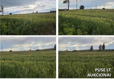 Žemės sklypas Biržų rajone, Gaigalų kaime, 5920 EUR