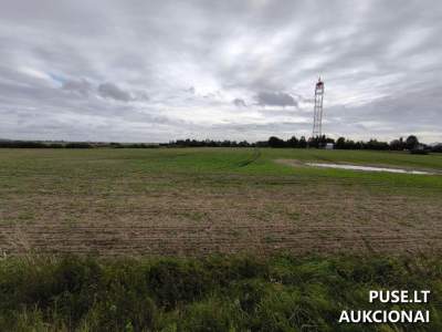 Valstybinis žemės sklypas Radviliškio rajone, Šeduvoje, Pakruojo g. 26 - nuomos aukcionas