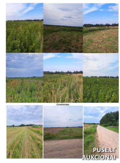 Žemės ūkio paskirties sklypas Širvintų rajone 5.9 ha, 29760 EUR