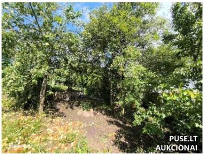 Žemės sklypas Marijampolės sav. 4800 EUR, 1/3 dalis