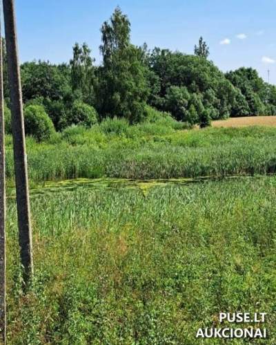 Žemės sklypas Radviliškio rajone, Viktorinės kaime, 15000 EUR