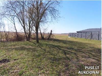 Valstybinis žemės sklypas Panevėžyje, Debesų g. 3, 16897 EUR
