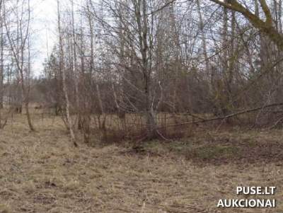 Valstybinės žemės sklypas Panevėžyje, Tinklų g. 35H, 46297 EUR
