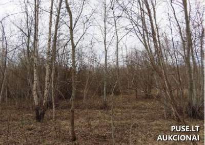 Valstybinis žemės sklypas Panevėžyje, Tinklų g. 35J, 54297 EUR