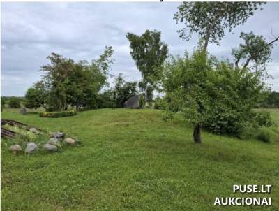 1/1 valstybinės žemės sklypas Šiaulių r. sav. Lingaičių k. 2595 EUR