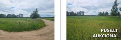 Parduodamas 1/3 dalies žemės sklypas Ignalinos rajone, Gerkonių kaime, 0.90 ha, 560 EUR