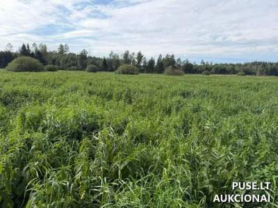 1/2 žemės ūkio paskirties sklypo Vilniaus rajone 1512 EUR