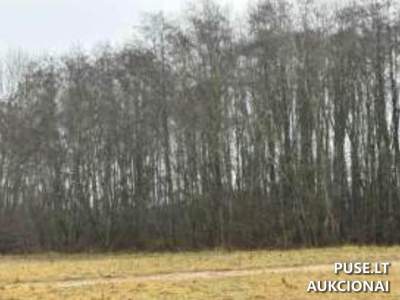 Valstybinės žemės sklypas Šerelių kaime, Kupiškio rajone, 2327 EUR