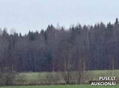 Žemės sklypas Skuodo rajone, Laumaičių kaime, 1283 EUR