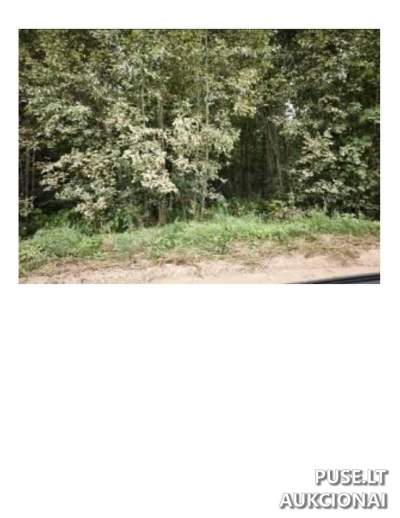 Parduodamas žemės sklypas Utenos rajone, Gaspariškių kaime, 1.3796 ha, 6672 EUR