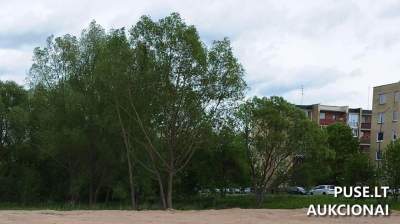 Valstybinis žemės sklypas Radviliškyje, Spindulio g. 8 – aukcionas 8470 EUR