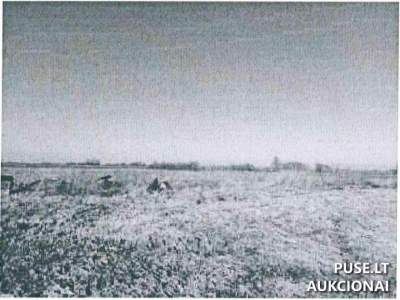 Sklypas Marijampolėje Makrickų k. 3 (dalis 1/2) 7200 EUR - aukcionas