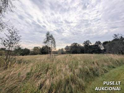 Žemės sklypas Plungėje, Žemaitės g. 104 – valstybinis aukcionas, kaina 24 825 EUR