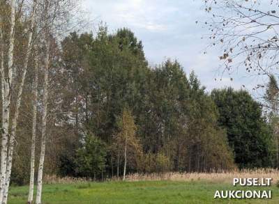Žemės sklypas Plungėje, Žemaitės g. 110 - 15025 EUR